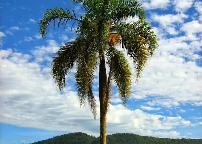 Indigo Coastal -- 1 -- 6br Private -- Pool Jungle Blue Zone Living Playa Guiones